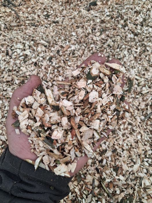 Usługi leśne ogrodnicze