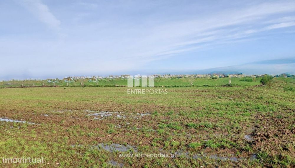 Sale of a 5627 m² Plot of Land in Gião, Vila do Conde