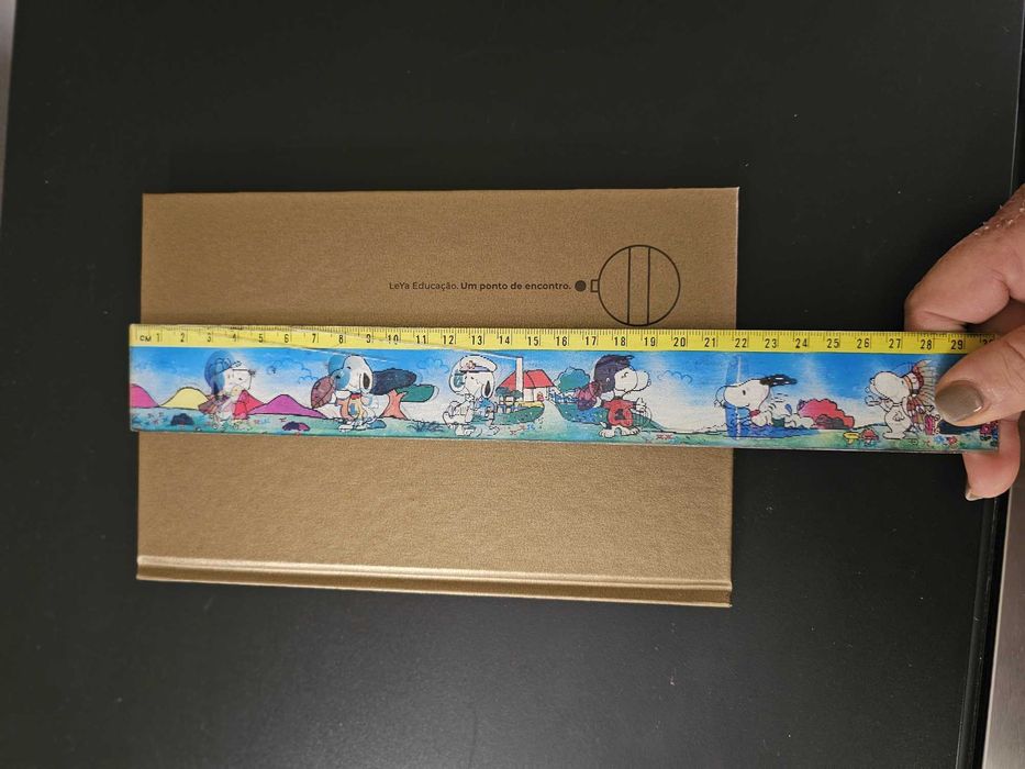 Caderno dourado pautado