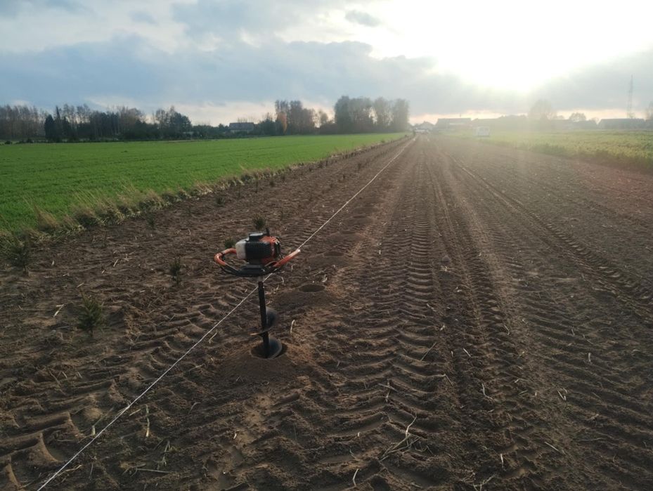 Wycinka drzew ogrody