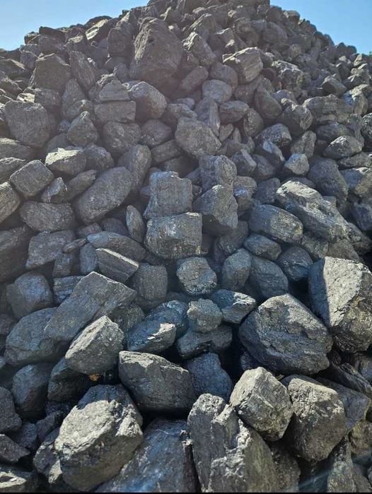 Węgiel, Kosta, Groszek, Orzech Luz i Worki