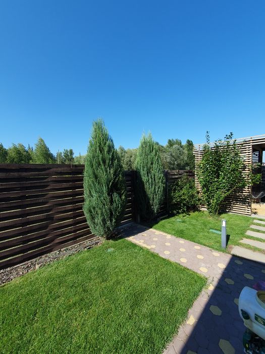 Покос газону та трави, спилювання дерев, послуги садівника!