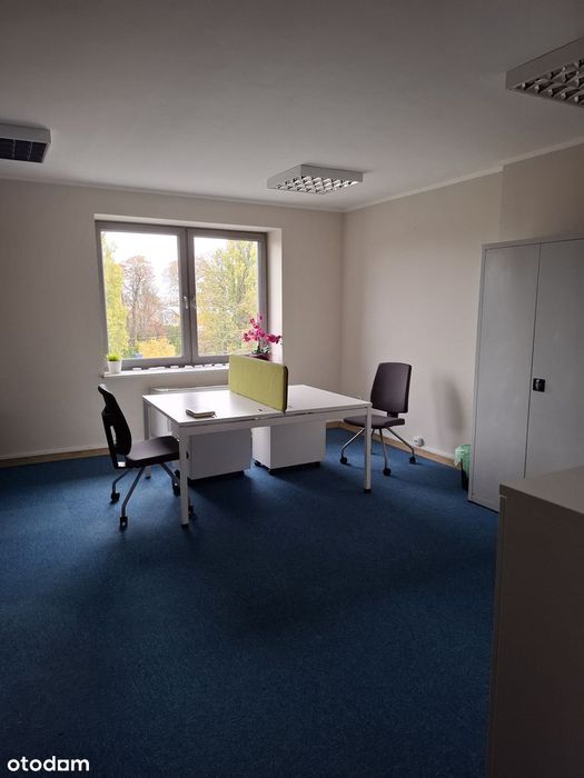 Atrakcyjny lokal użytkowy na wynajem.