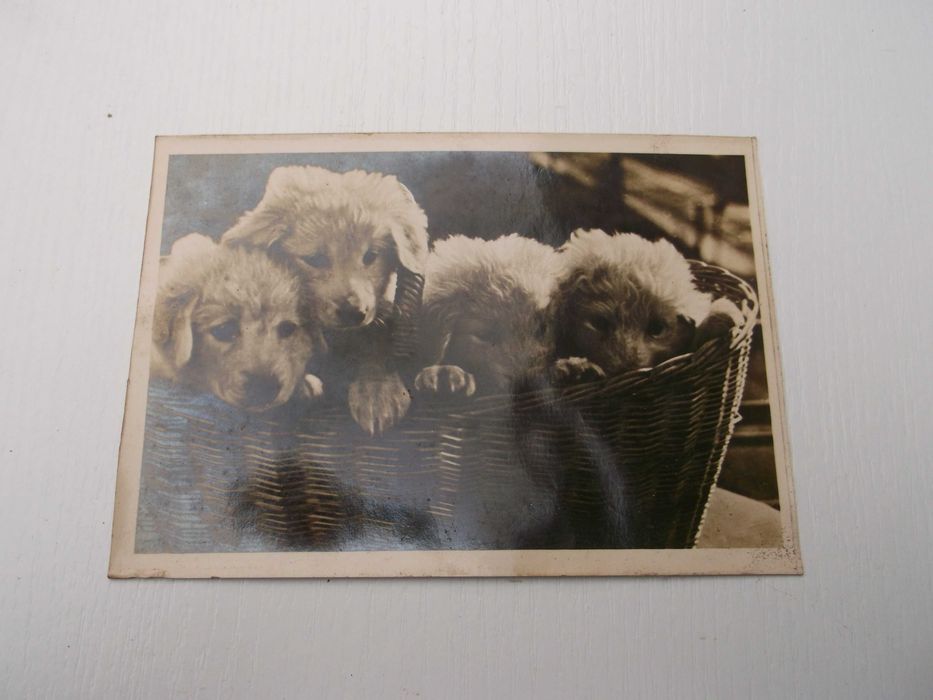 widokówka z 1943r Krakau Zakopane