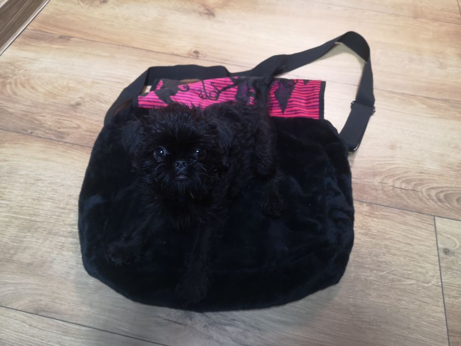 Torba na ramię monster high