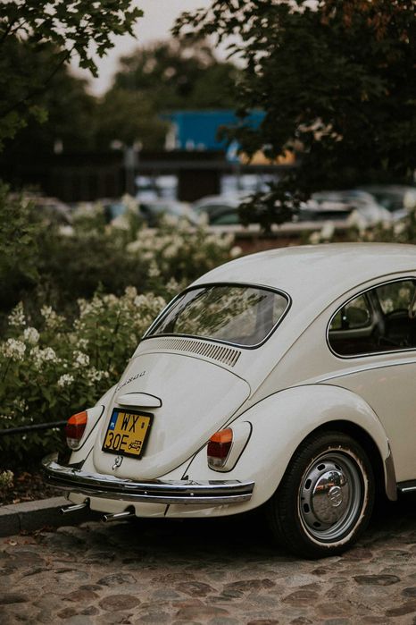 VW Garbus 1968r. na wynajem - ślub / sesja / reklama - elastycznie ;)
