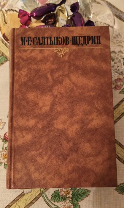 М.Е. Салтыков-Щедрин. Книга