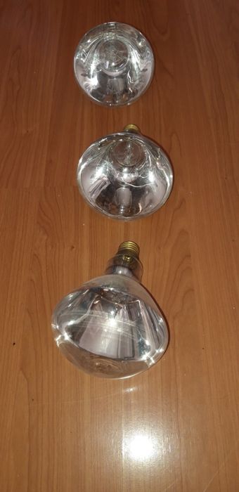 Żarówka 250 W do promiennika ciepła