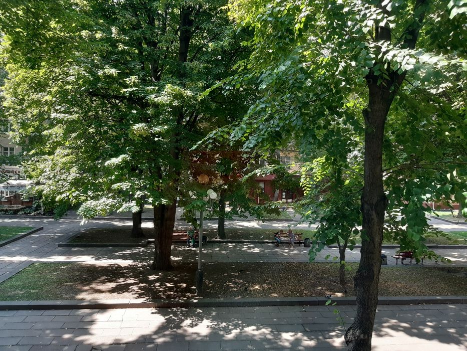 Центр міста, погодинно, подобово, потижнево