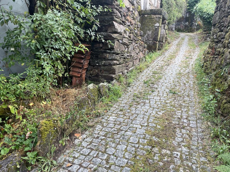 Ruinas para restauro em Arouca