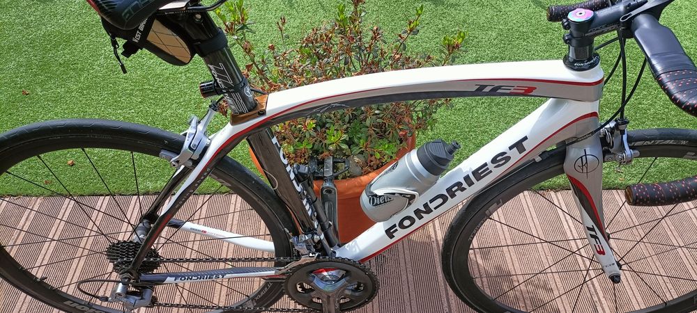 Biblioteca em carbono, tamanho S