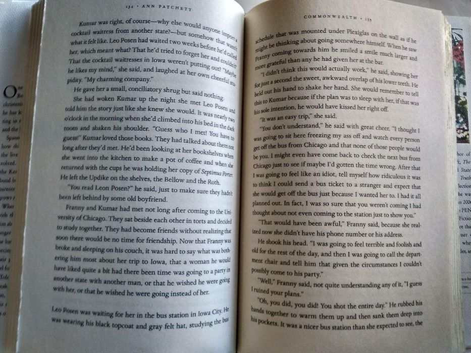 Книга на английском: "Commonwealth" Ann Patcher. Жанр: новелла.