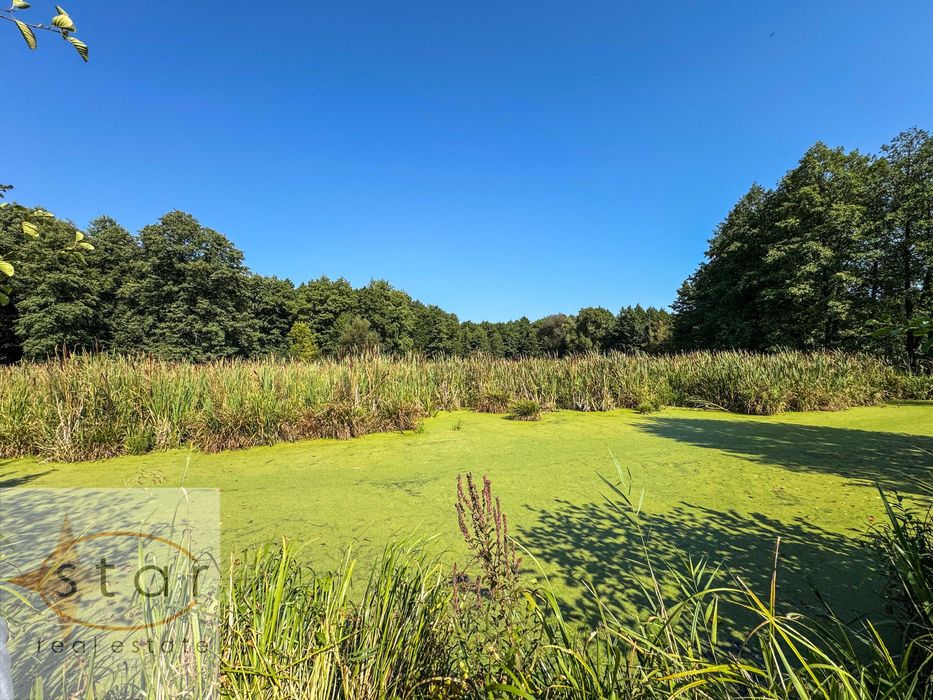 Продаж землі у Седневі  2,15 га поруч з Кротовим озером та р. Снов