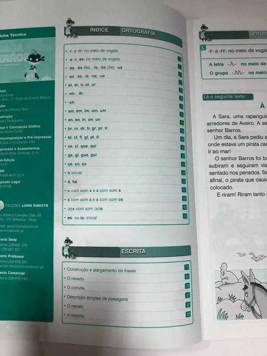 Manual Escolar Caça Erros - 2º ano