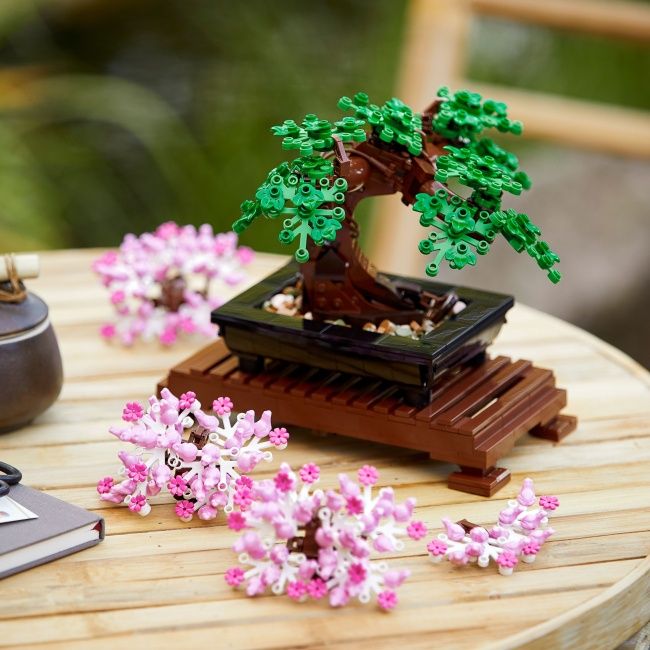 Конструктор LEGO Botanicals Дерево бонсай (10281)