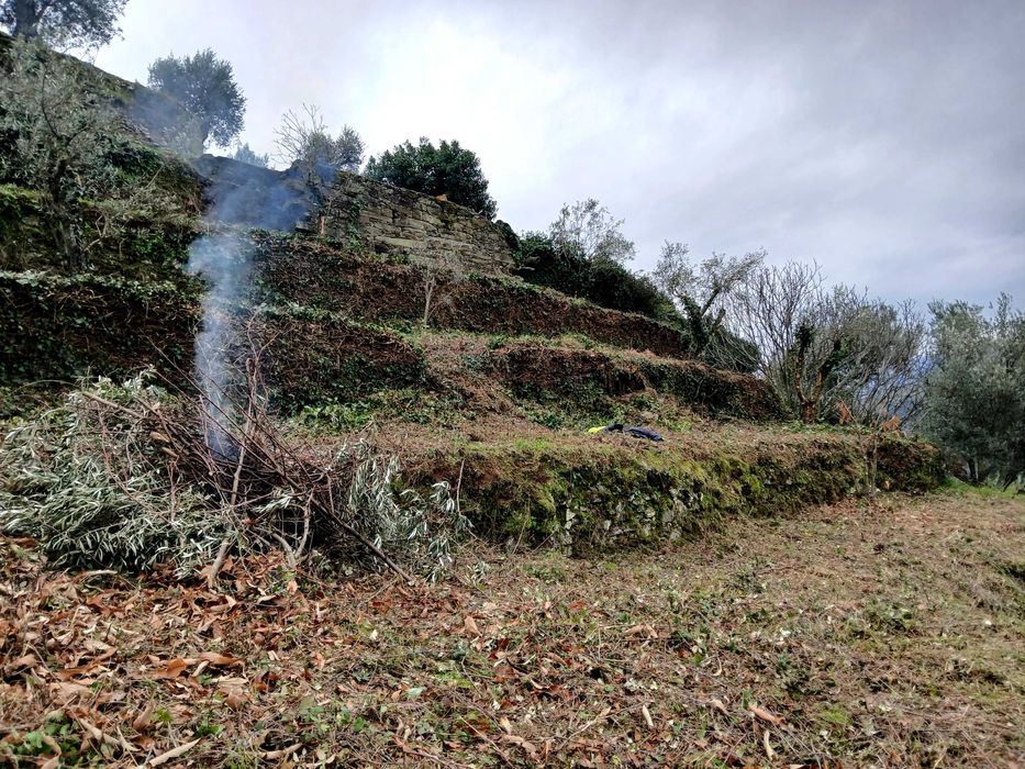 Limpezas com rocadouras