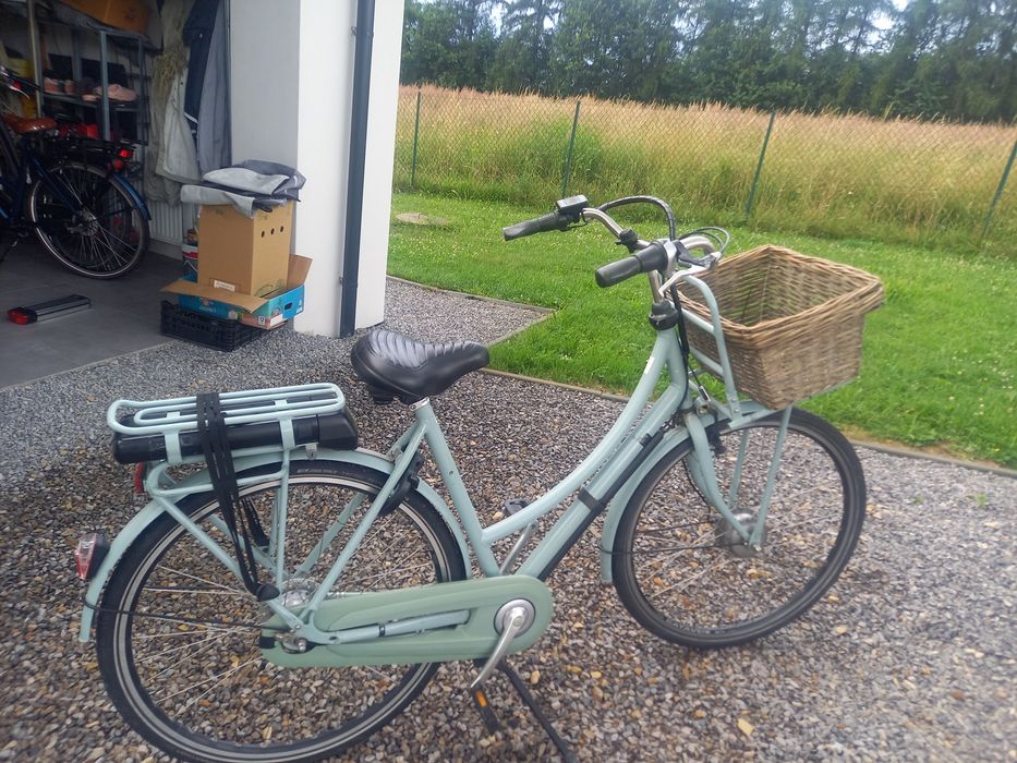 Rower elektryczny batavius cargo