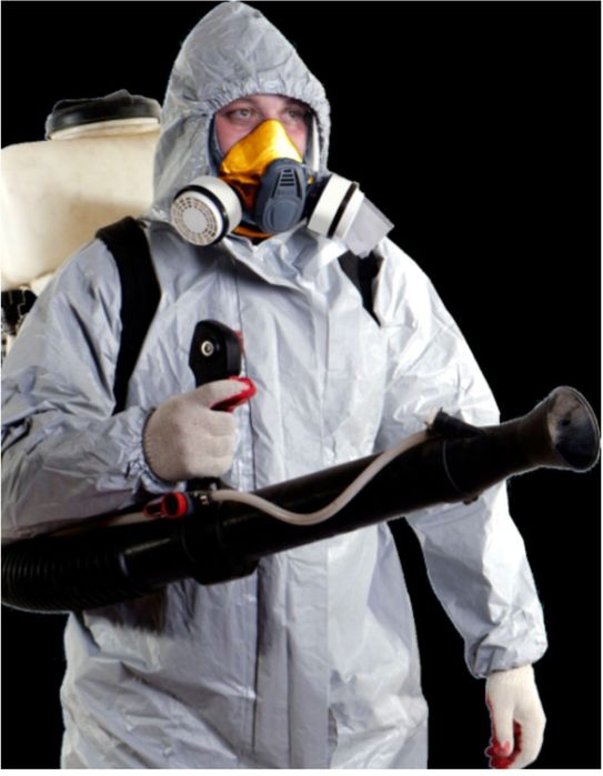 Уничтожение плесени • Генеральная уборка • Убрать запах • Химчистка