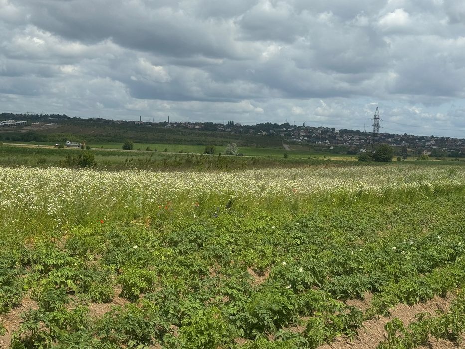 Продам рівну ділянку під забудову 10.5 сот