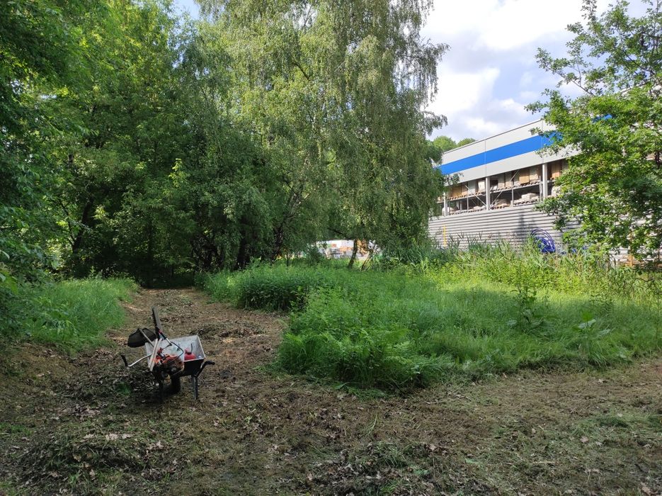 Wycinka i przycinanie  drzew-tui- krzewów, koszenie, równanie terenu