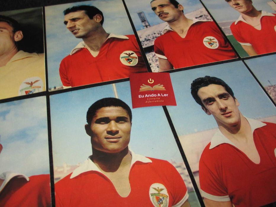 Bilhete Postal Equipa do Sport Lisboa e Benfica Anos 60 Postais SLB