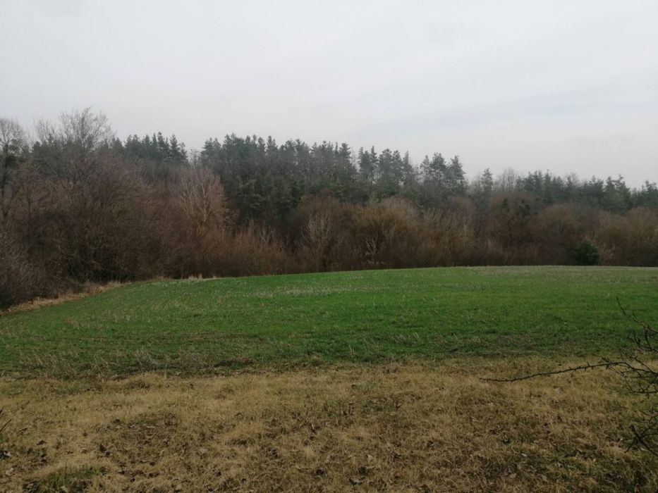 Продаж будинку та землі Богуслав с.Тептіївка.