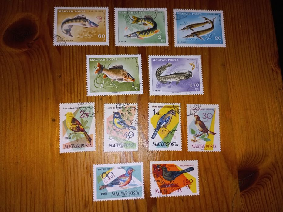 selos só fauna e flora