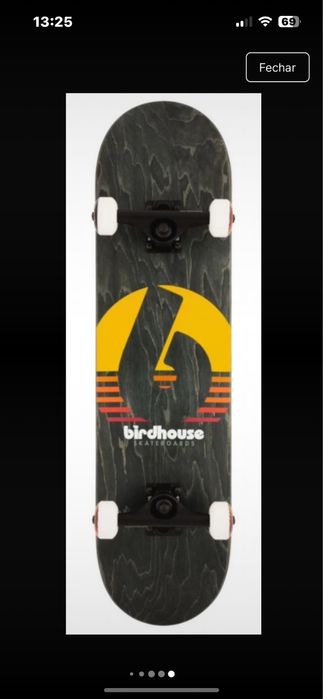 Skate  birdhouse