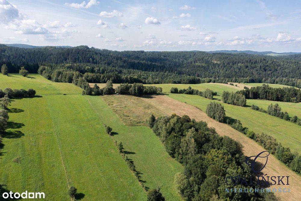 Panorama | Zacisze | Zainwestuj w Bieszczadach | – pohled 4