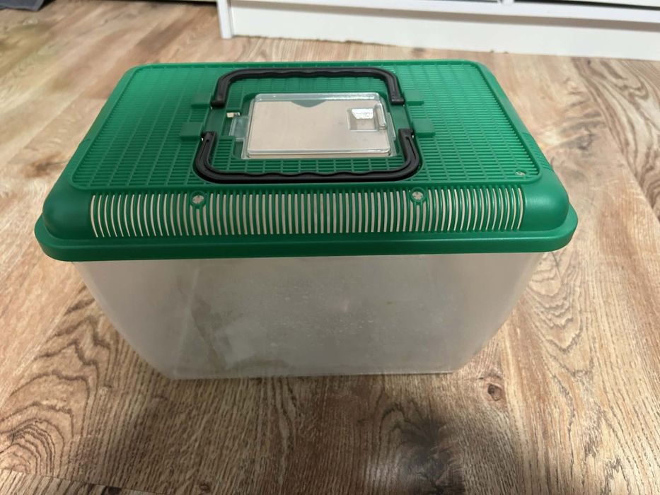 Terrarium / transporter