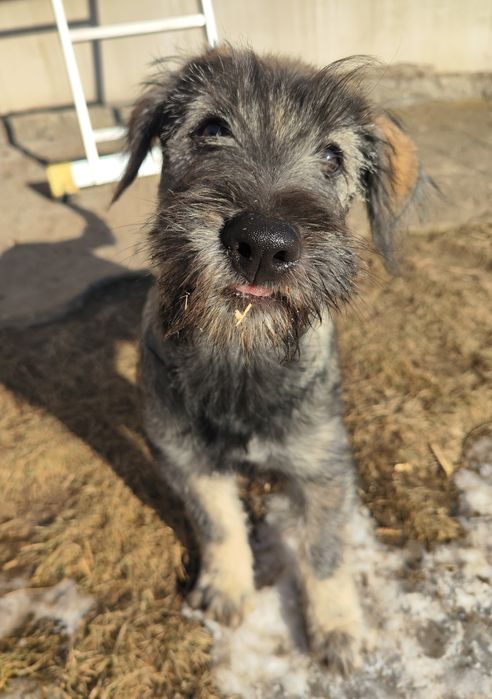 Szukamy najlepszego domu pod Słońcem