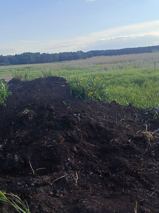 Sprzedam ziemię torfową