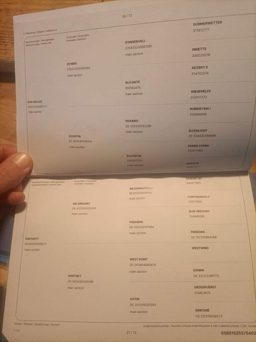 Zajezdzony 3,5 letni walach  Zangersheide filmy na watsapa