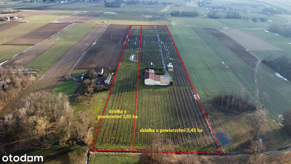 Nieruchomość z sadem / Chomętowo gm. Radzanowo