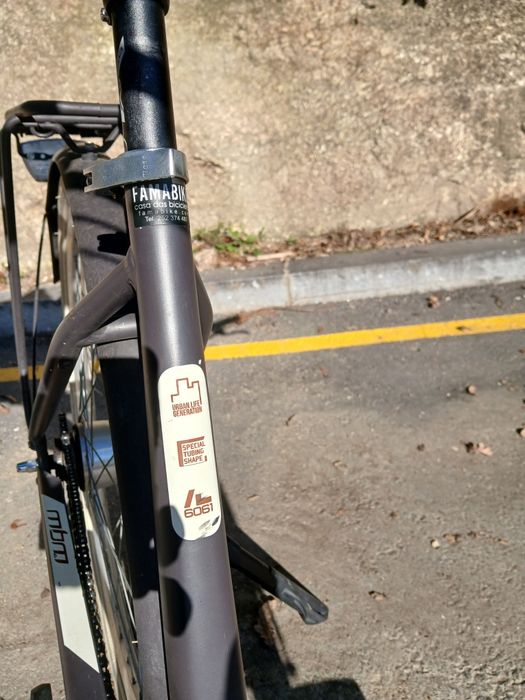 Bicicleta MBM primavera