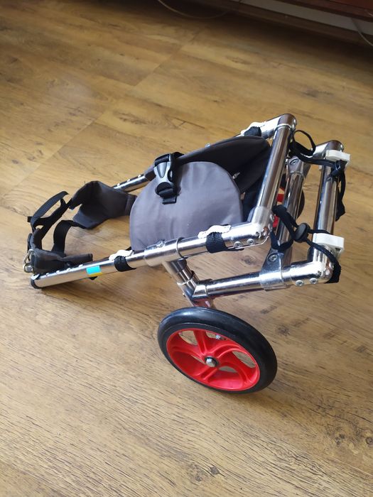 Візочок  собачий