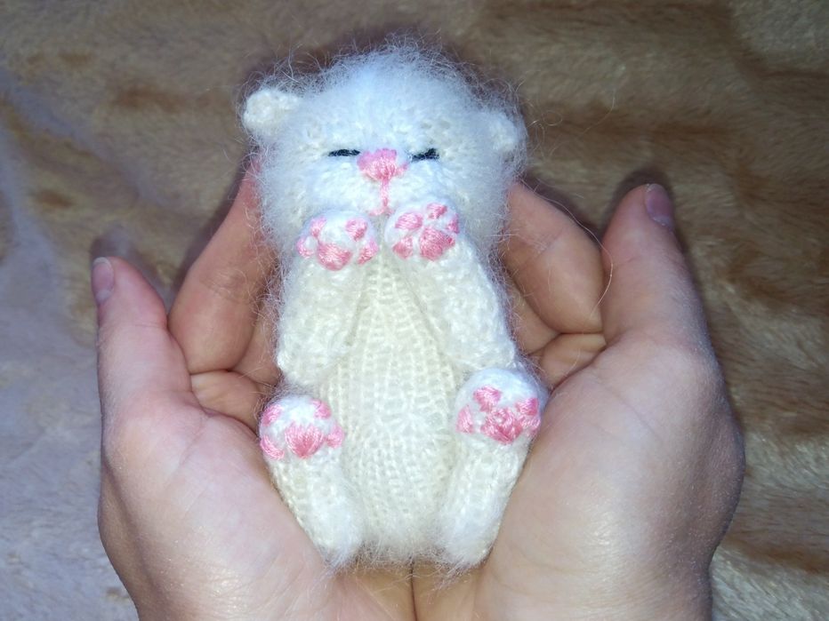 Кошеня - дарунок на свята