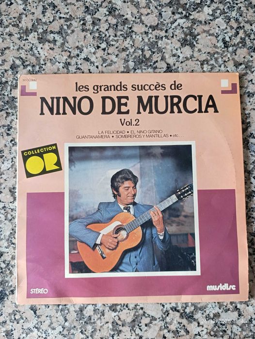 Vários discos de vinil de 33 tours