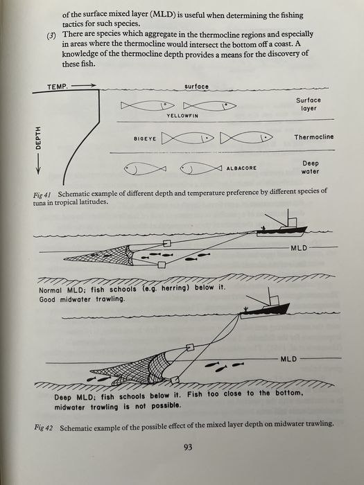 Pesca Oceanogtafia e Ecologia