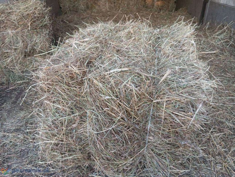 Słoma kostka z 2025 roku