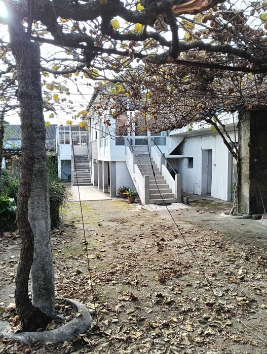 Moradia T5 com 4.495m² de terreno - Viana do Castelo - Portugal