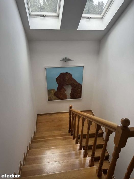 Zdjęcie 6