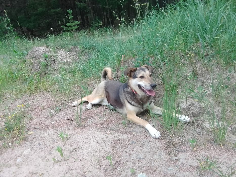 Дуже хочу мати сім'ю
