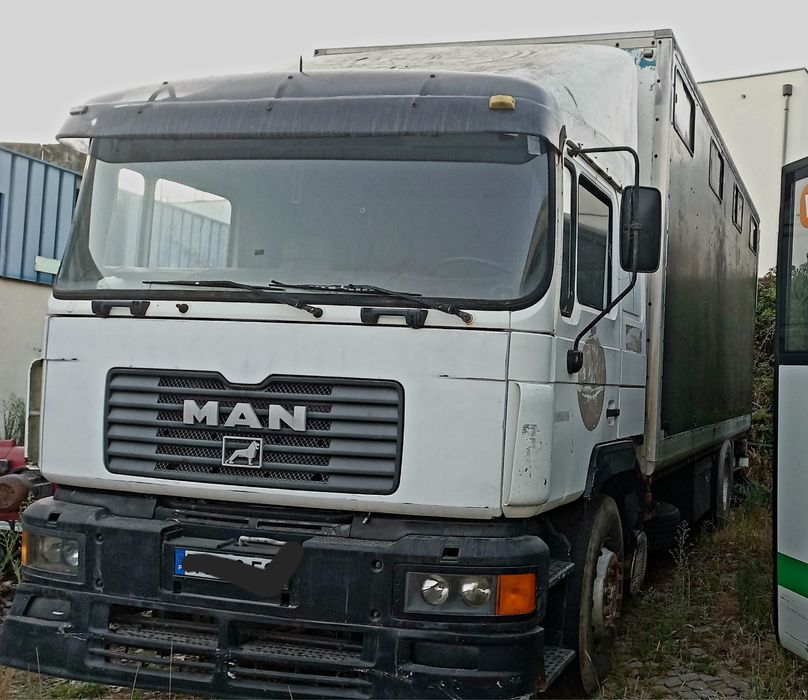 MAN 19-372 transporte cavalos