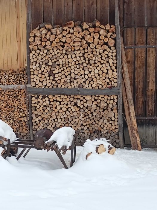 Sprzedam drzewo suche buk grab