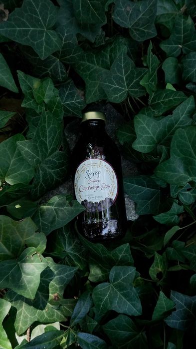 Syrop z owoców Czarnego bzu, Sambucus nigra, Dzikiego bzu