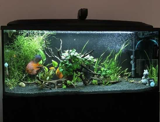 Грунт для акваріума чорний базальт . Фракція 1-3 мм. Вага 5 кг.