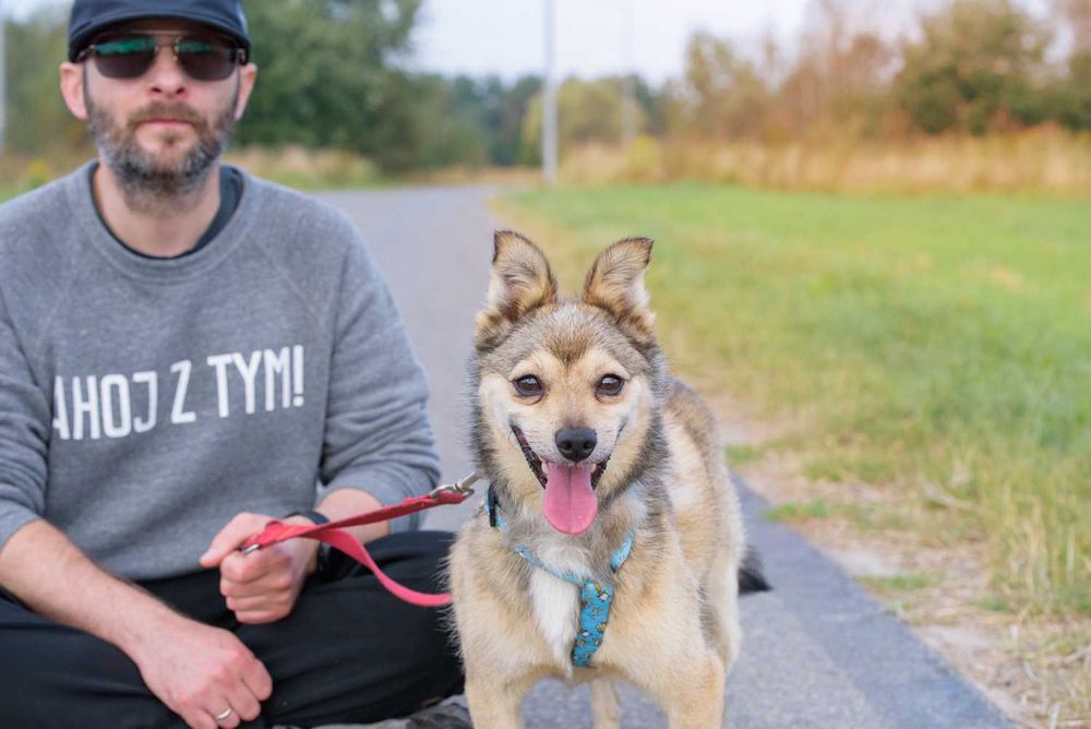 Sajlek - radosny promyczek