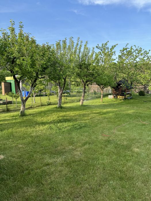 Działka ROD Leśne Oczko Nowy Kisielin