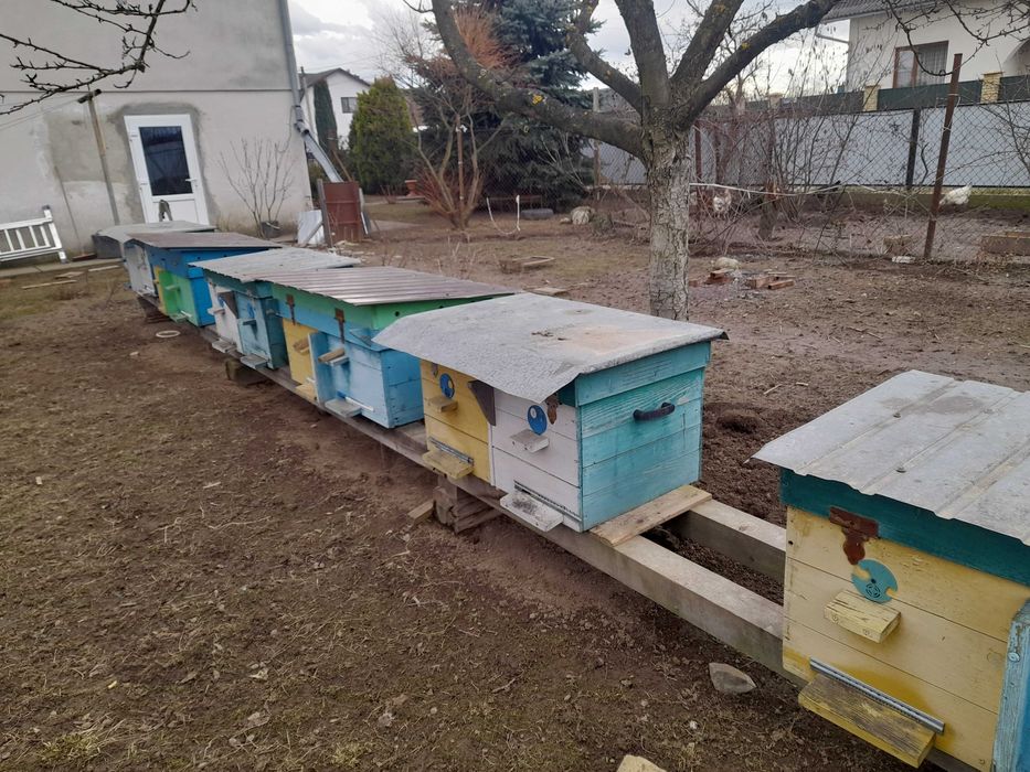 Вулики лежаки на 24 рамки.